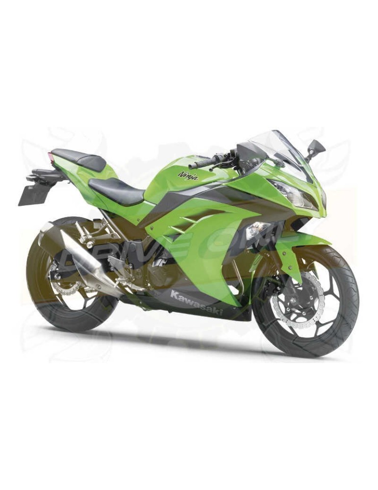 Silencieux sport Dominator : ZX 300 R Ninja 2012 - 2016 Silencieux sport Dominator : ZX 300 R Ninja 2012 - 2016