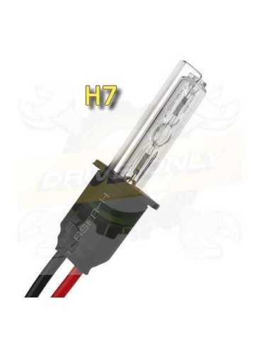 Ampoule H7 Courte 55 Watts