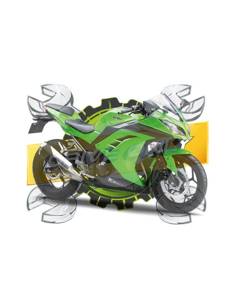 Ninja 300 / R 2013 - 2015 Ninja 300 / R 2013 - 2015