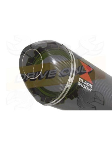 MT-09 Tracer 2013-2021  Passage Bas Décatalyseur Ligne complètes Silencieux Ovale En Carbone + Carbon Tip 200mm