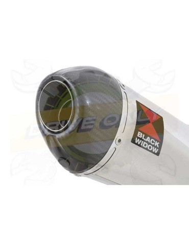 FZ-07 Tracer 2014 2015 2016 2017 Passage Bas Décatalyseur Ligne complète & Silencieux Ovale En Inox + Canule en Carbone 200mm