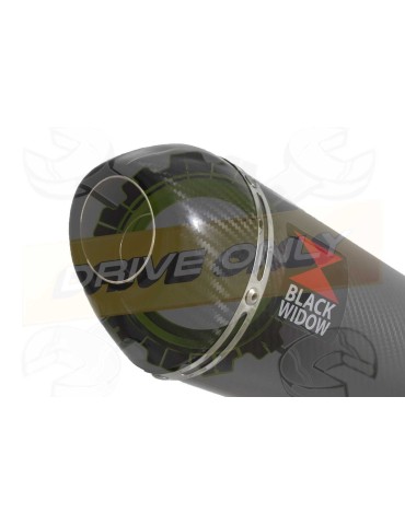 VFR800F VFR 800 1997-2003 (RC46) Tube de raccord et Silencieux Ovale En Carbone + Carbone 200mm