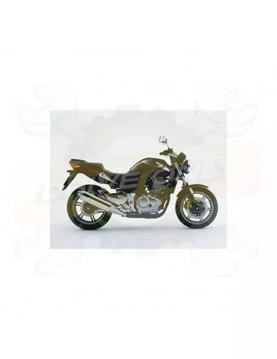 Silencieux sport Dominator : CBF 500 2004 - 2005