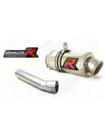 Silencieux sport Dominator : RS 125 1999 - 2012