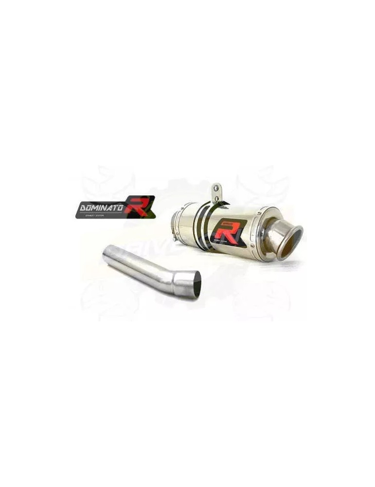 Silencieux sport Dominator : RS 125 1999 - 2012 Silencieux sport Dominator : RS 125 1999 - 2012