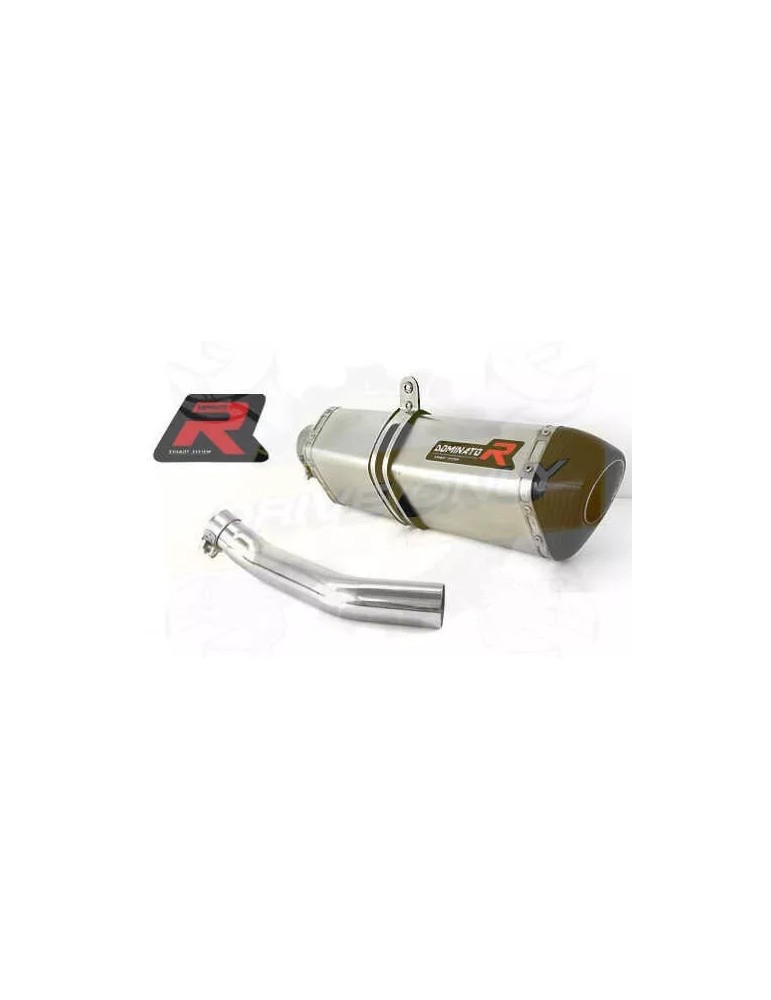 Silencieux sport Dominator : F 650 CS 2002 - 2005 Silencieux sport Dominator : F 650 CS 2002 - 2005