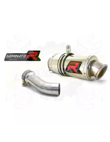 Silencieux sport Dominator : R 1200 R 2010 - 2014
