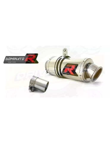 Silencieux sport Dominator : R 1150 R 2001 - 2006