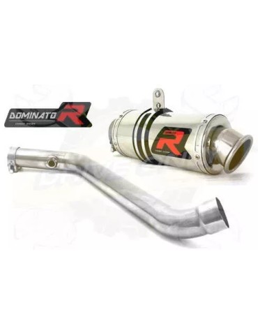 Silencieux sport Dominator : R 1150 RS 2001 - 2005