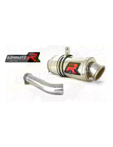 Silencieux sport Dominator : R 1200 GS / Adventure 2004 - 2009