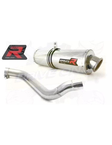 Silencieux sport Dominator : F 650 Funduro 1993 - 1999