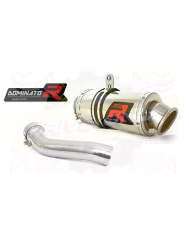 Silencieux sport Dominator : R 1200 GS / Adventure 2010 - 2012