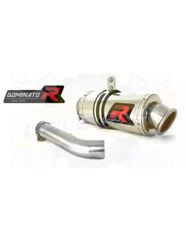Silencieux sport Dominator : R 1200 RT 2004 - 2009