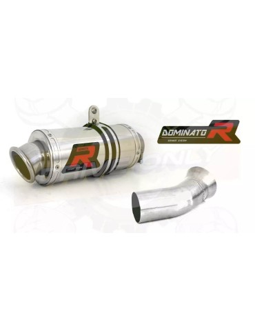 Silencieux sport Dominator : K 1300 R 2009 - 2015