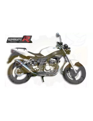 Silencieux sport Dominator : Roadsport / Roadtwin R 125 2010 - 2016