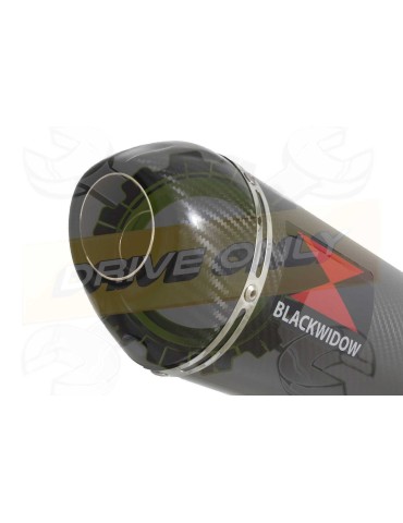 R6 YZF600 2017-2018 (RJ27) Hi level Silencieux kit + Silencieux Ovale En Carbone 300mm