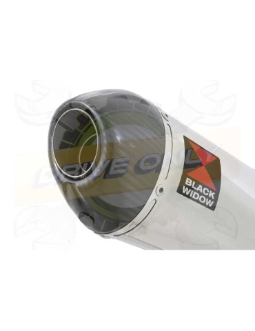 R6 YZF600 2017-2018 (RJ27) Hi level Silencieux kit + Silencieux Ovale en Inox & Canule en Carbone 200mm
