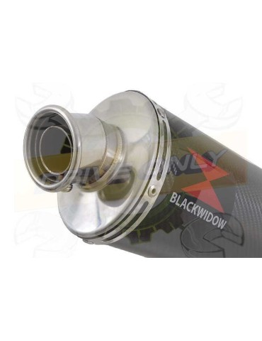 GSX1250FA GSX 1250 2010-2016 Refroidissement à Eau / Tube de raccord + Silencieux Ovale En Carbone 400mm