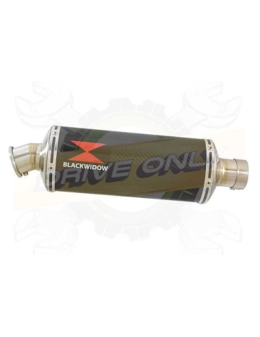 GSX1250FA GSX 1250 2010-2016 Refroidissement à Eau / Tube de raccord + Silencieux Ovale En Carbone 300mm