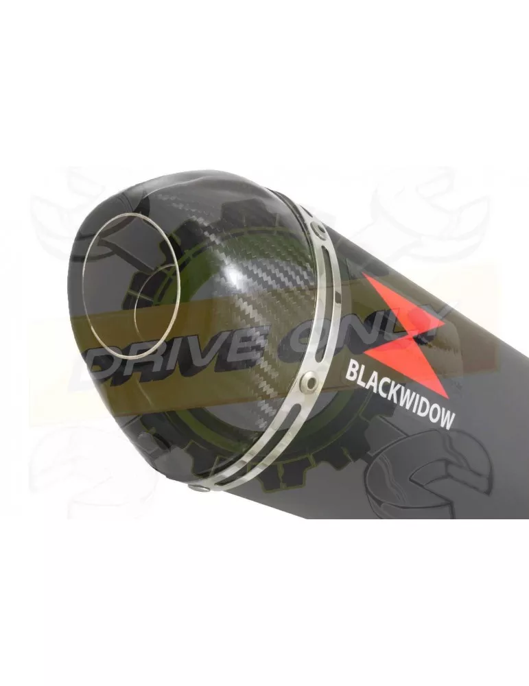 GSX750 Inazuma Ligne complète & Silencieux Ovale Noir en Inox + Canule en Carbone 400mm