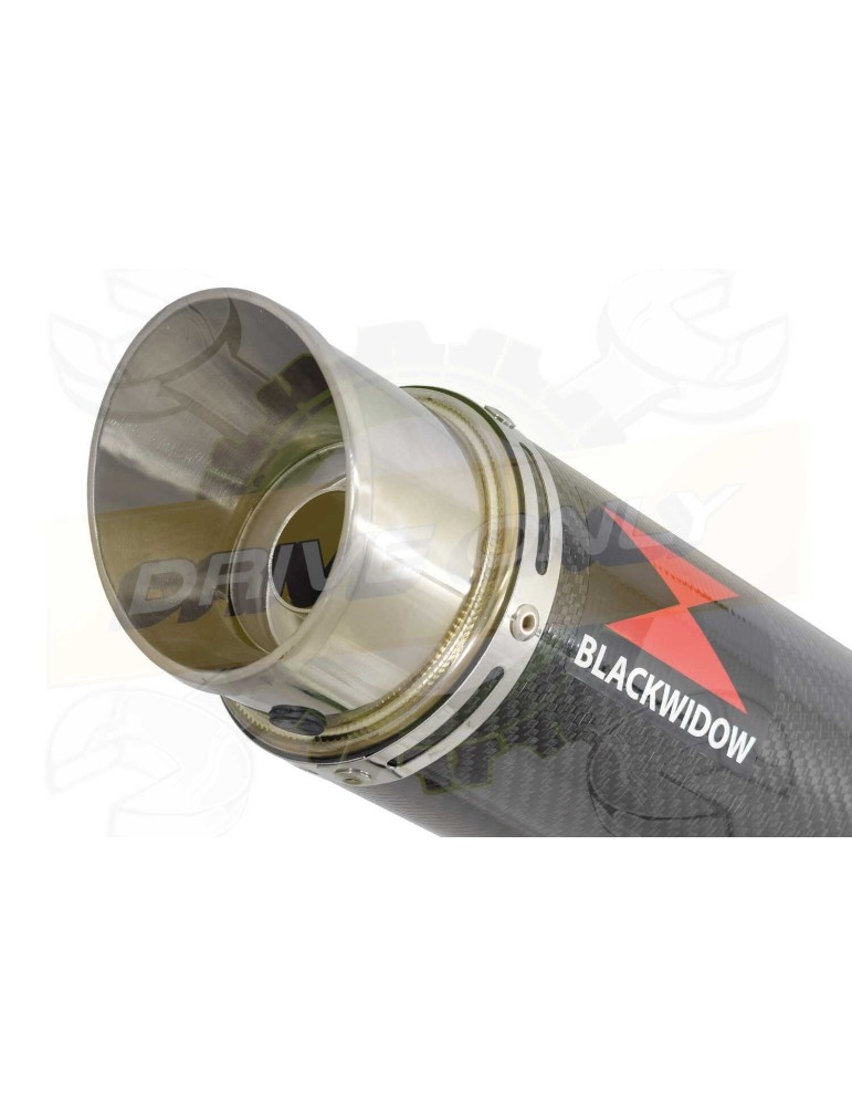 GSX 750 Inazuma Ligne complète & Silencieux GP Rond En Carbone 360mm