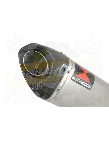 GSF 600 GSF600 Bandit 95-04 Refroidissement à Huile / Tube de raccord et Silencieux Tri-Ovale en Inox + Canule en Carbone 250mm