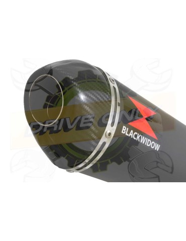 GSF 600 GSF600 Bandit 95-04 Refroidissement à Huile / Tube de raccord et Silencieux Ovale Noir en Inox + Canule en Carbone 400mm
