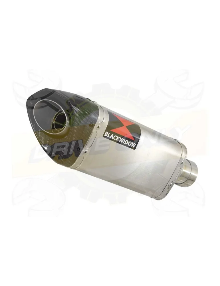 GSF 650 Bandit 05-06 K5 K6 Tube de raccord et Silencieux Tri-Ovale en Inox + Canule en Carbone 250mm