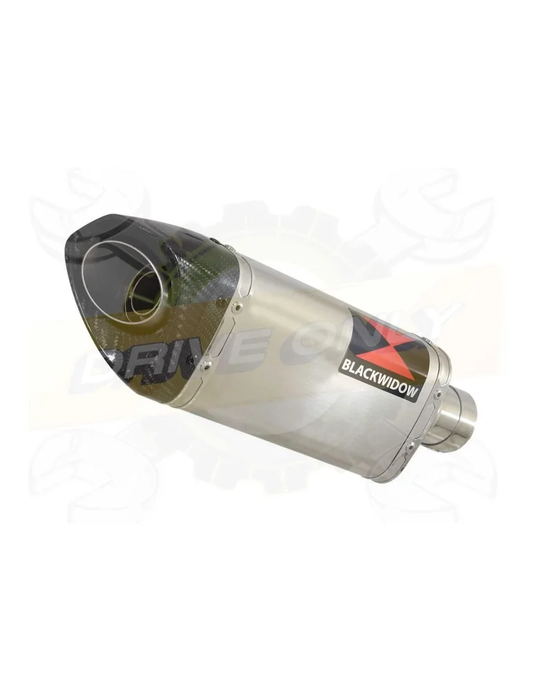 HYOSUNG GT125R GT125 COMET Ligne complète & Silencieux Tri Ovale en Inox + Carbone 250mm