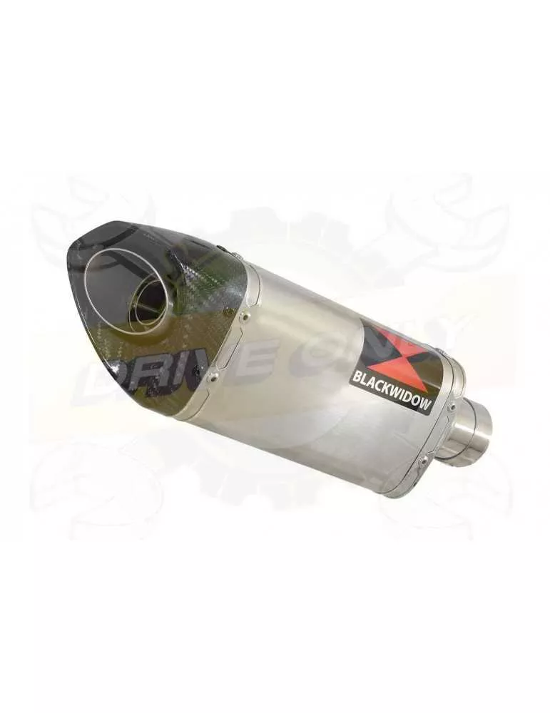HYOSUNG GT250R GT250 COMET Ligne complète & Silencieux Tri Ovale en Inox + Carbone 250mm