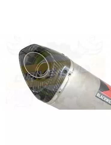 HYOSUNG GT250R GT250 COMET Ligne complète & Silencieux Tri Ovale en Inox + Carbone 250mm
