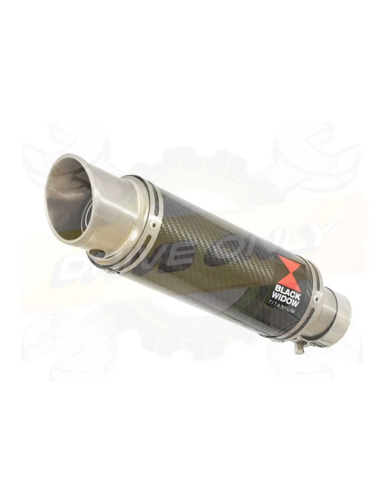 HYOSUNG GT250R GT250 COMET Ligne complète & Silencieux GP Rond en Carbone + Titanium 230mm
