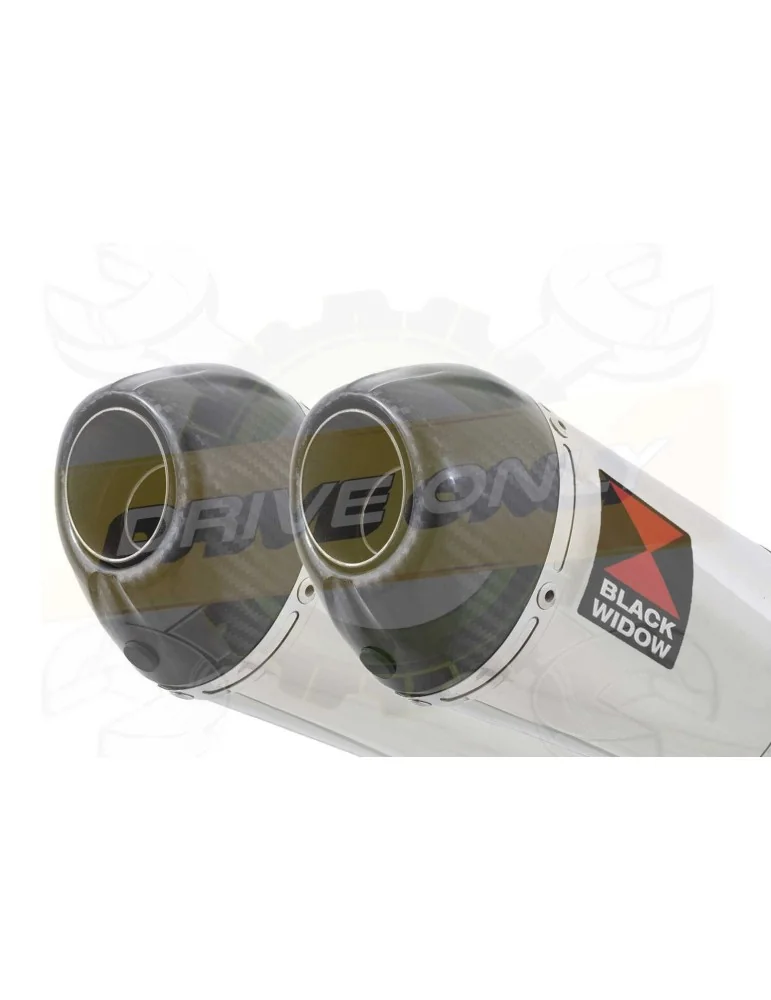 ZX-11 ZX11 4-2 Ligne complète & Silencieux Ovale En Inox + Canule en Carbone 200mm