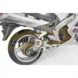 ZX-11 ZX11 4-2 Ligne complète & Silencieux Ovale En Inox + Canule en Carbone 200mm