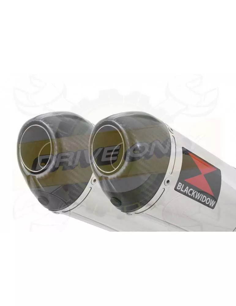 ZZR 1400 Ninja ZX14 2008-2011 4-2 Tube de raccord & Silencieux Ovale en Inox & Canule en Carbone 300mm