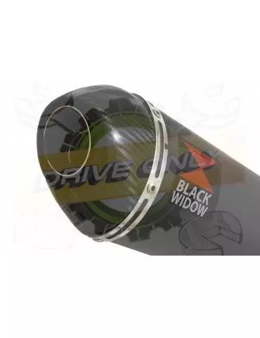 VFR800F VFR 800 1997-2003 (RC46) Ligne complètes & Ovale Noir Silencieux En Inox + Carbon Tip 200mm