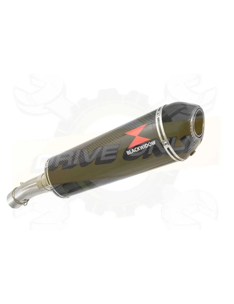 F700 GS Exhaust tube de raccord + Silencieux Ovale En Carbone + Carbon Tip 400mm