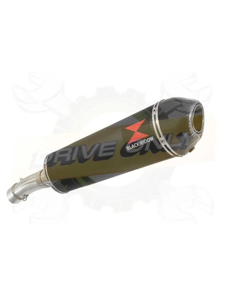 F650 GS Exhaust tube de raccord + Ovale Black Stainless Silencieux + Carbon Tip 400mm