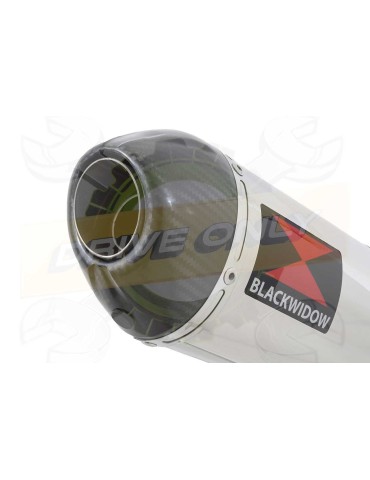 CB500F CB500X CBR500R Tube de raccord & Silencieux Ovale Inox/Carbone 300mm