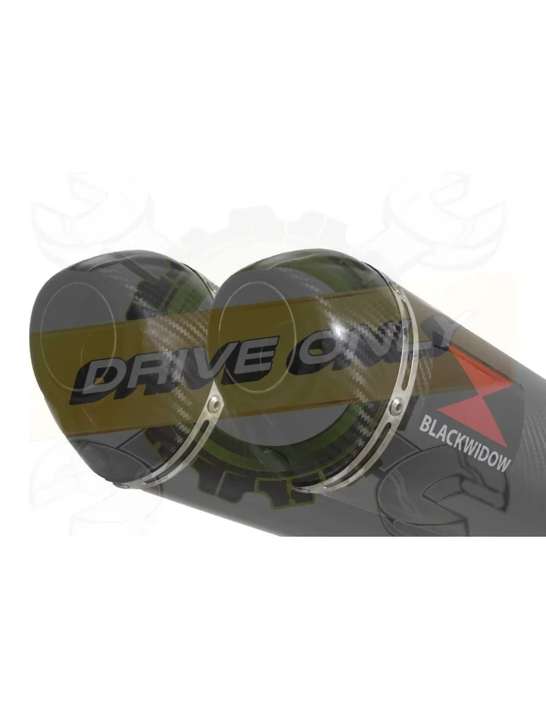 CBF1000 2006-2011 Par paire, Silencieux Ovale Carbone 400mm