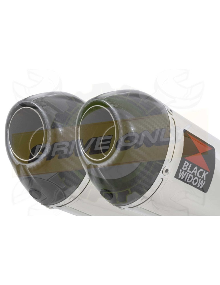 CBR1100 CBR 1100 XX Blackbird 4-2 Ligne complète & Silencieux Ovale Inox & Carbone tip 200mm