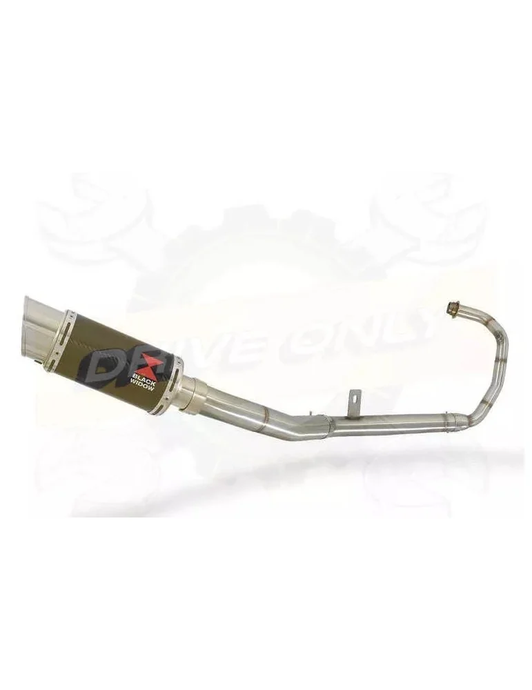 APRILIA RS4 125 2011 - 2018 Gp Carbone 200mm