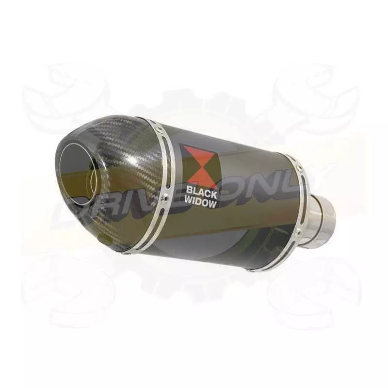  Ovale Noir En Inox Silencieux & En Carbone Tip 200mm