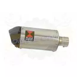  Ovale En Inox Silencieux & En Carbone Tip 200mm