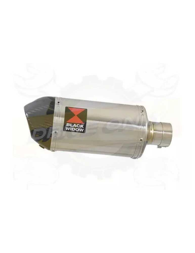  Ovale En Inox Silencieux & En Carbone Tip 200mm