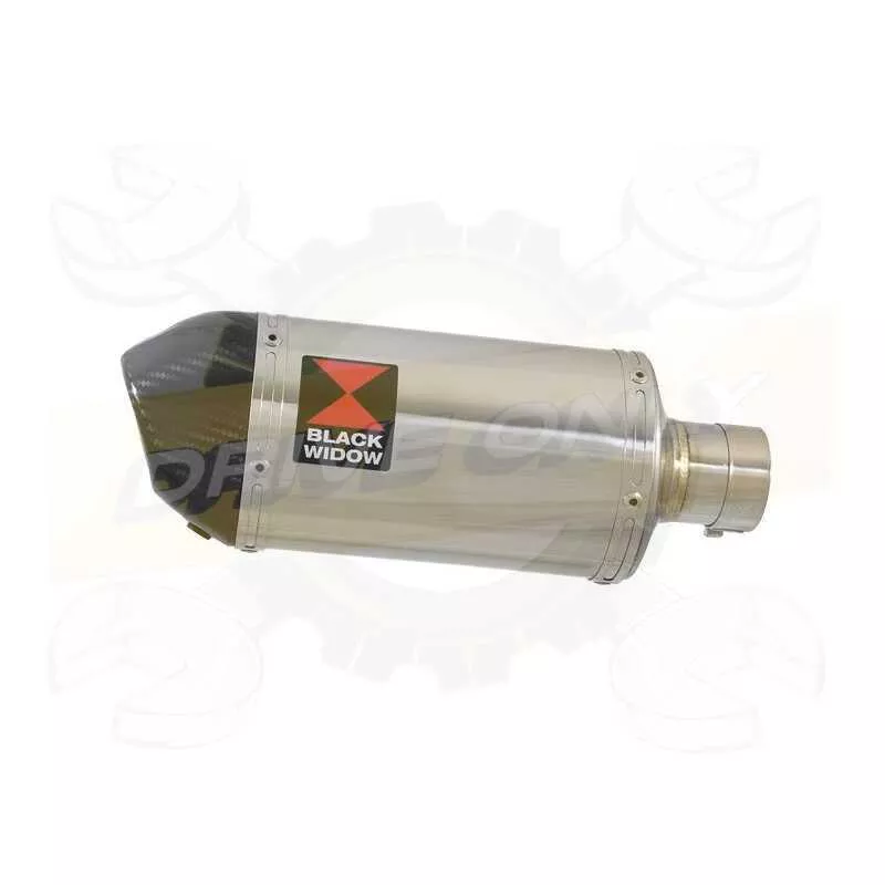 Ovale En Inox Silencieux & En Carbone Tip 200mm