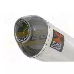  Ovale En Inox Silencieux & En Carbone Tip 200mm
