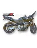 Silencieux sport Dominator : CB  600 F  Hornet 2002 - 2002
