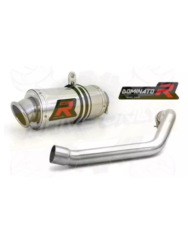 Silencieux sport Dominator : CB 600 F Hornet 2002 - 2002