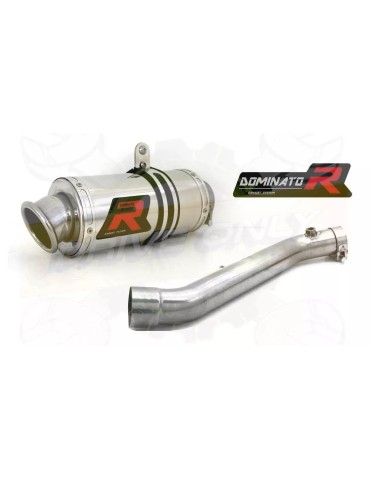 Silencieux sport Dominator : Cbr 600 F 2001 - 2006